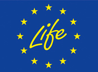 Life Life