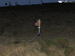 img02