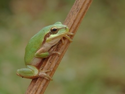 img012