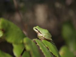 img014